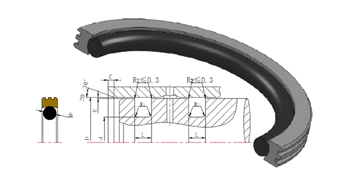 軸用旋轉(zhuǎn)密封圈又是組合型油封嗎？